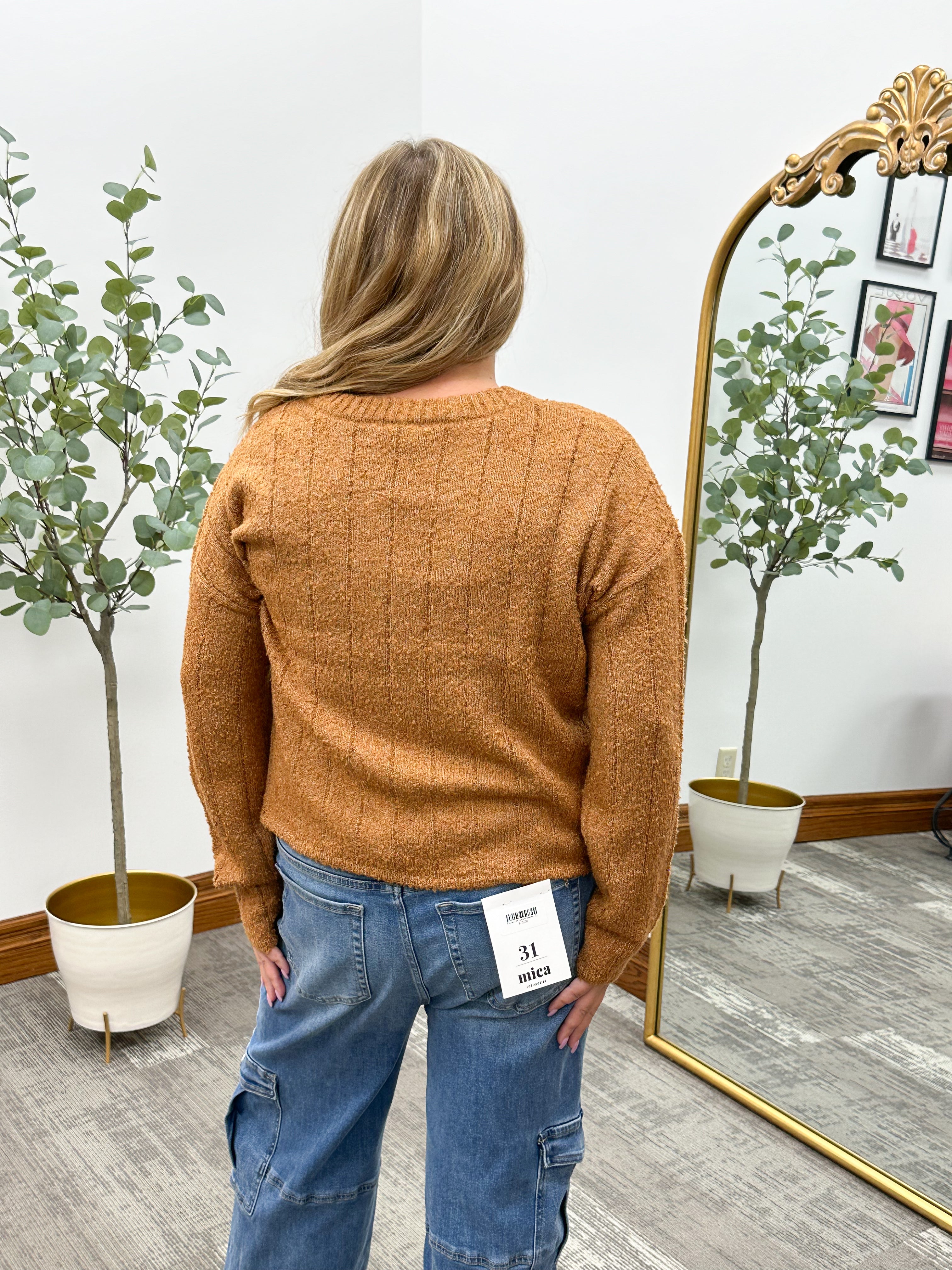Liz Cropped V-Neck Sweater