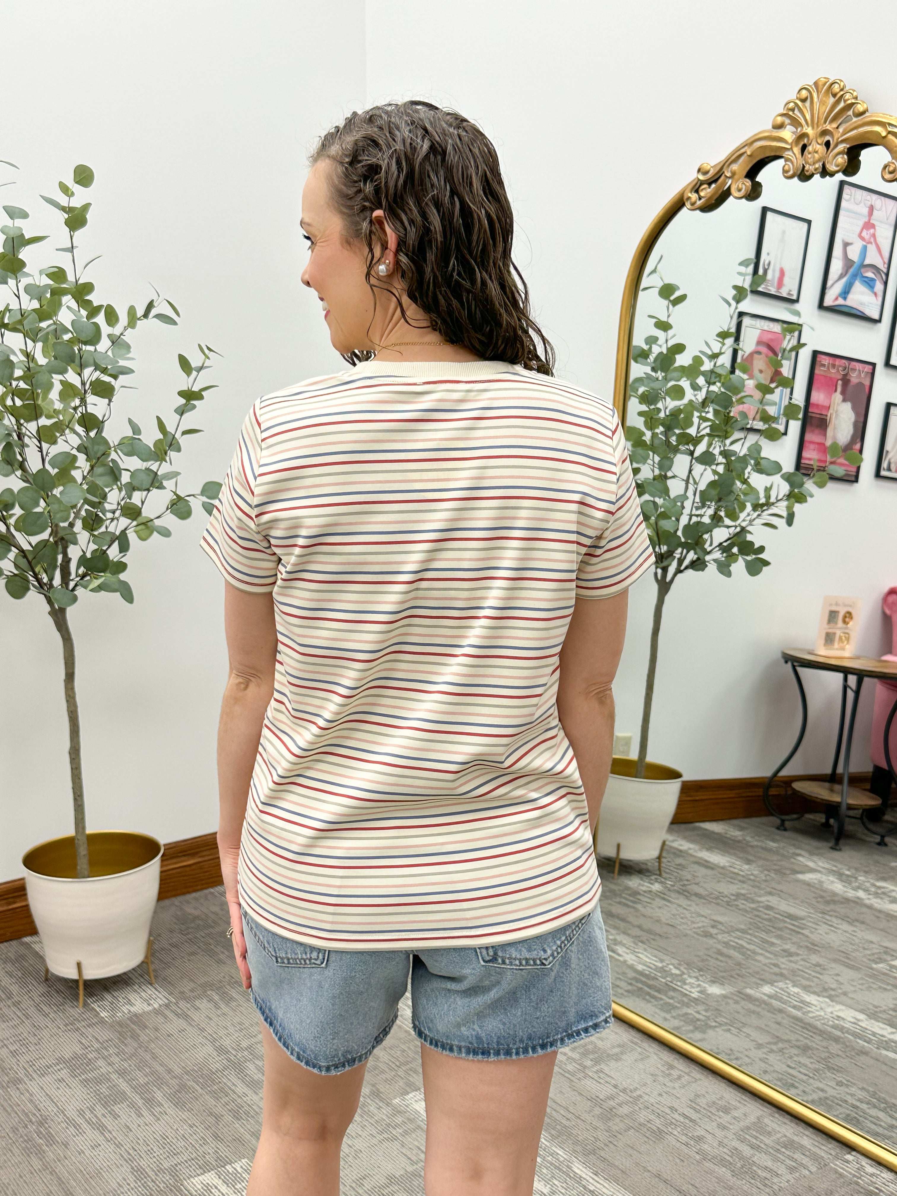 Multi Colored Striped T-Shirt