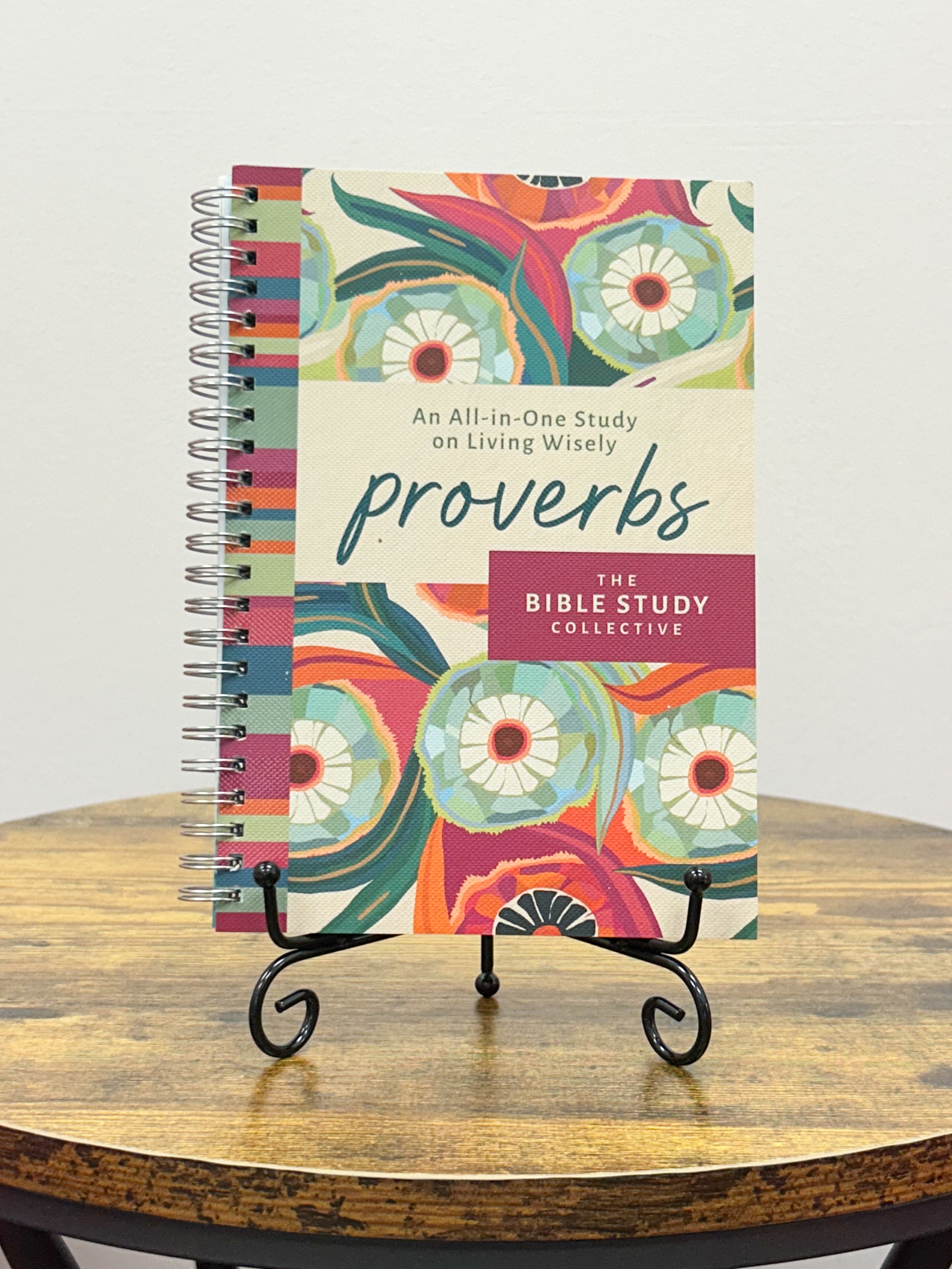 Proverbs: An All-in-One Study On Living Wisely