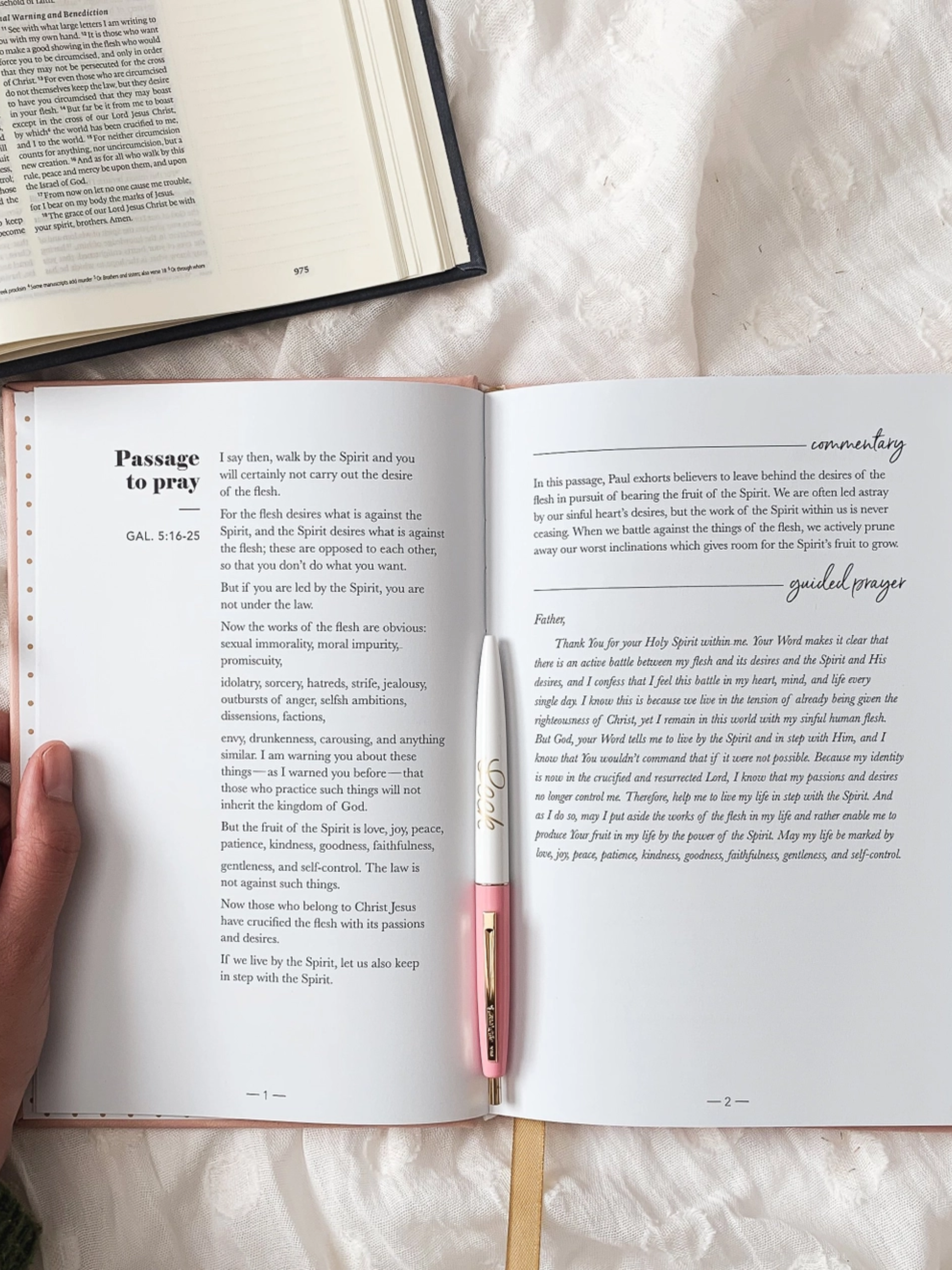 All Things New, Praying Scripture Journal