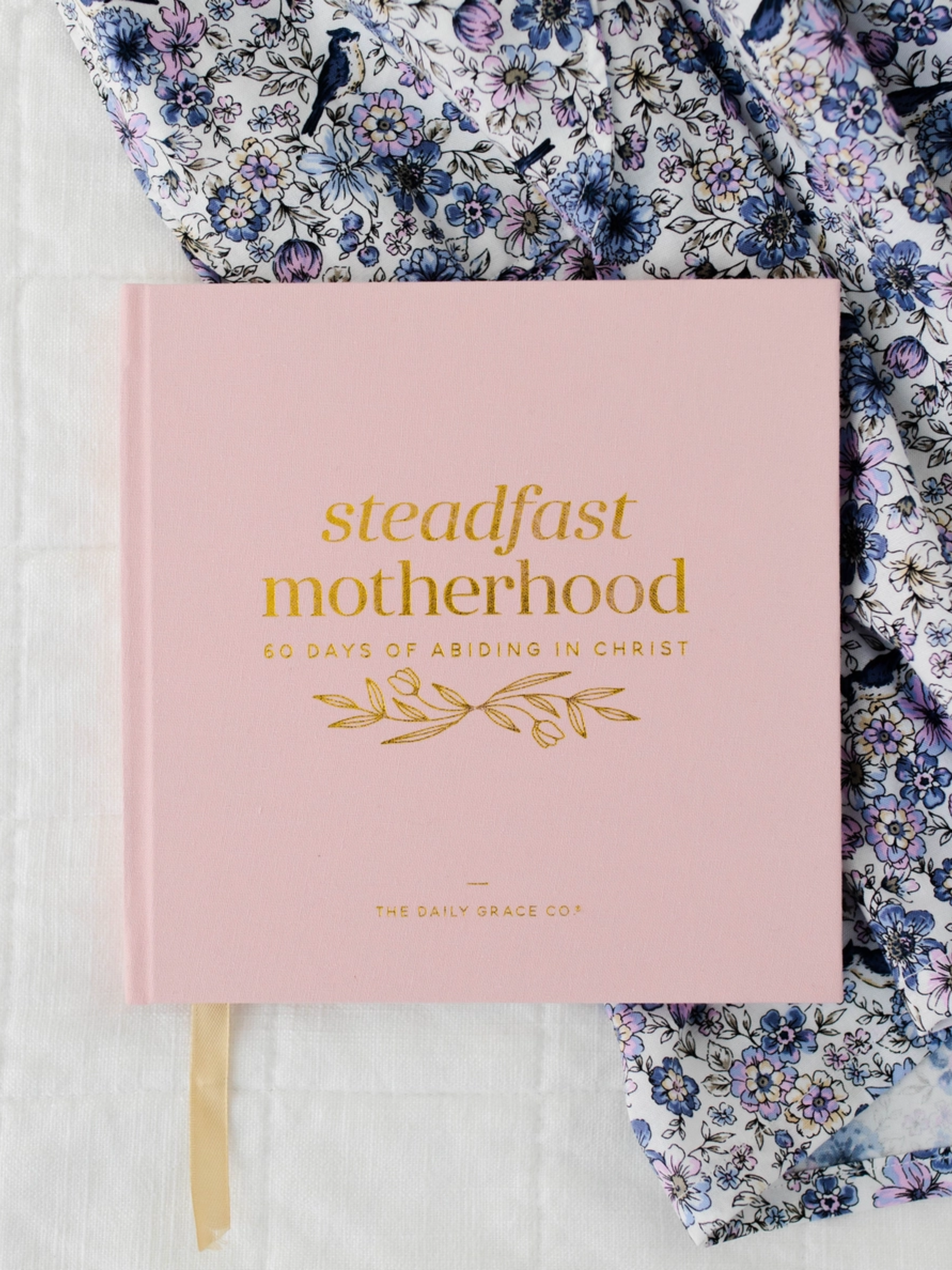 Steadfast Motherhood, 60 Days of Abiding in Christ