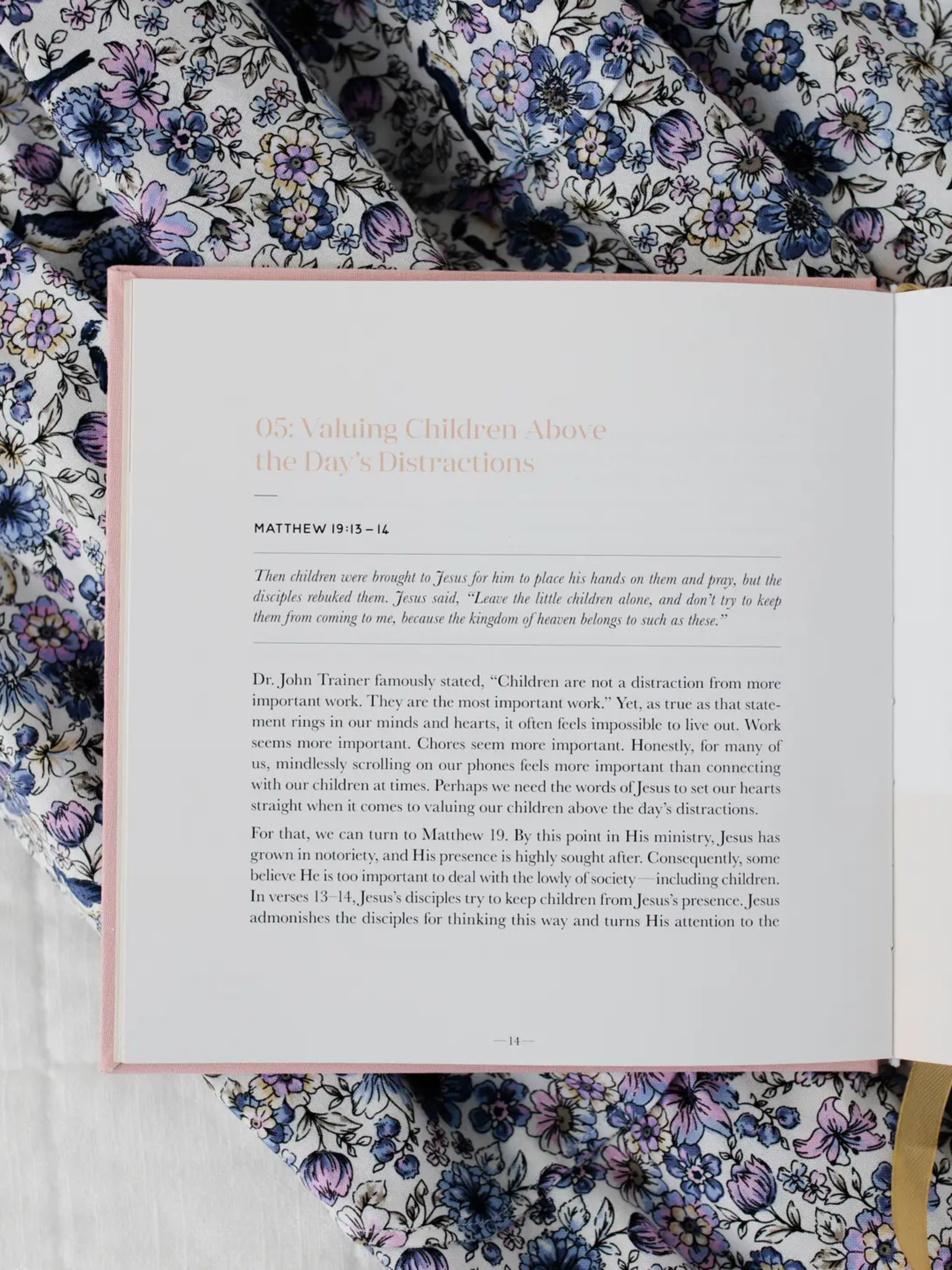 Steadfast Motherhood, 60 Days of Abiding in Christ