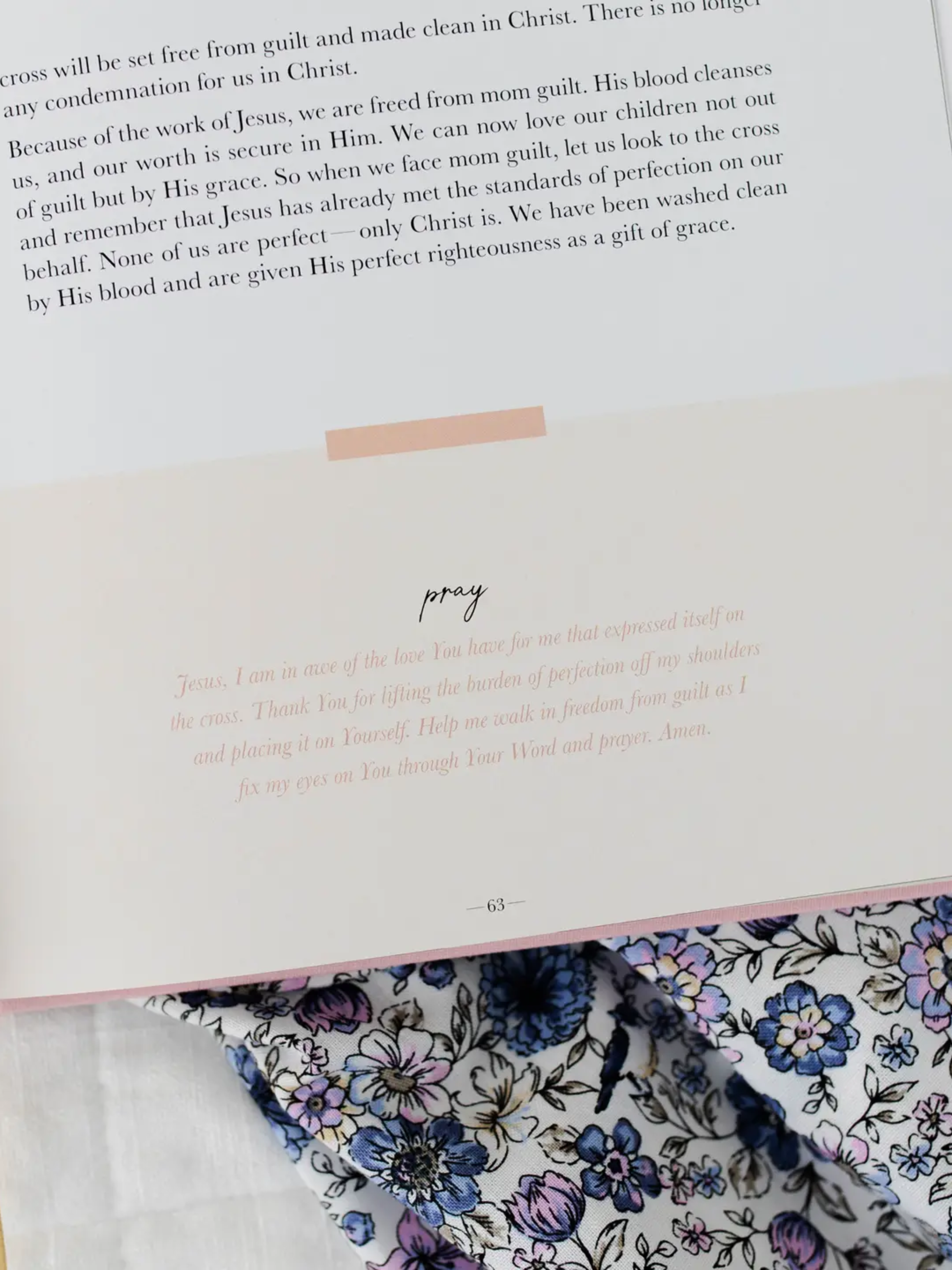 Steadfast Motherhood, 60 Days of Abiding in Christ