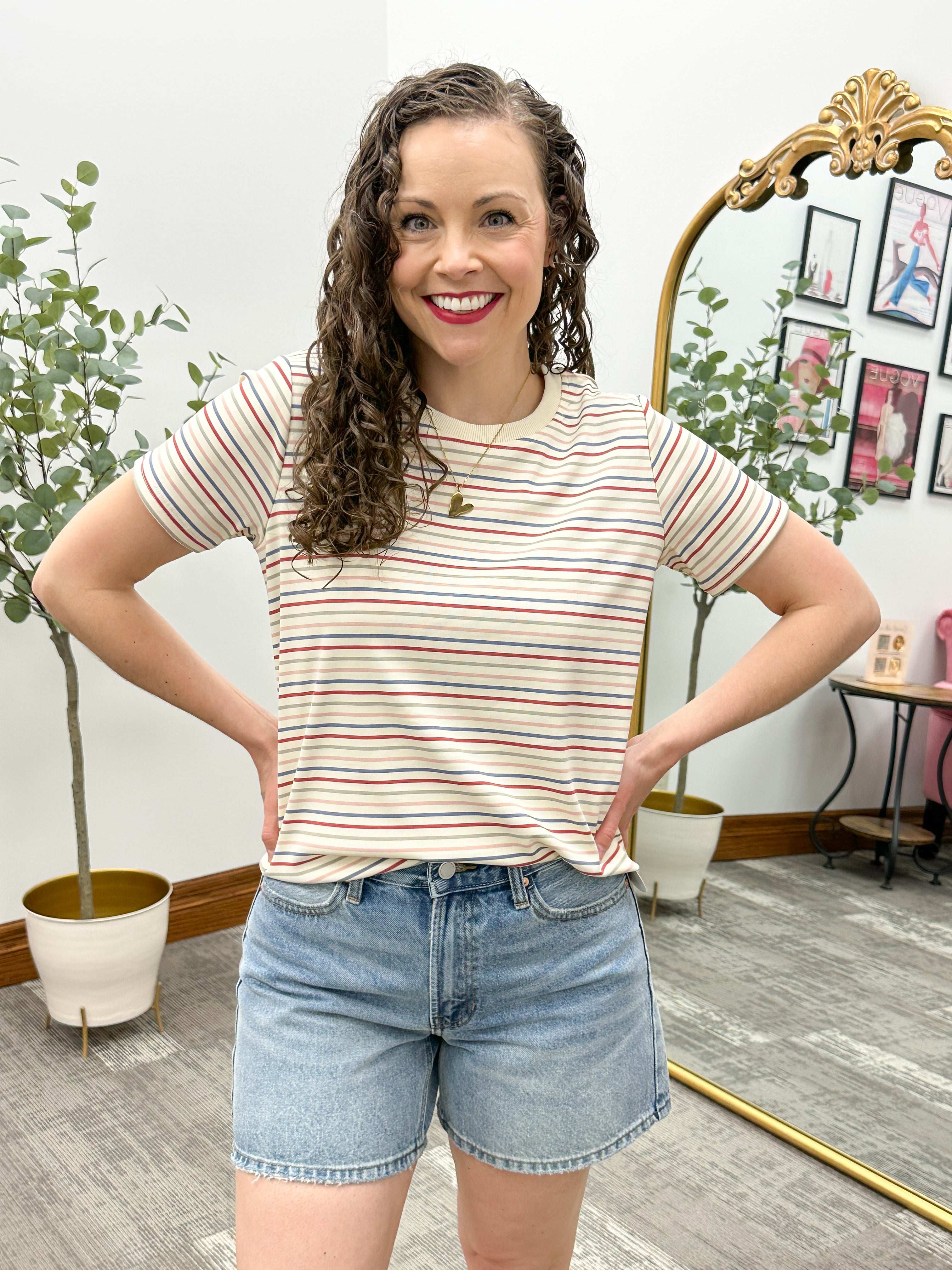 Multi Colored Stripes T-Shirt
