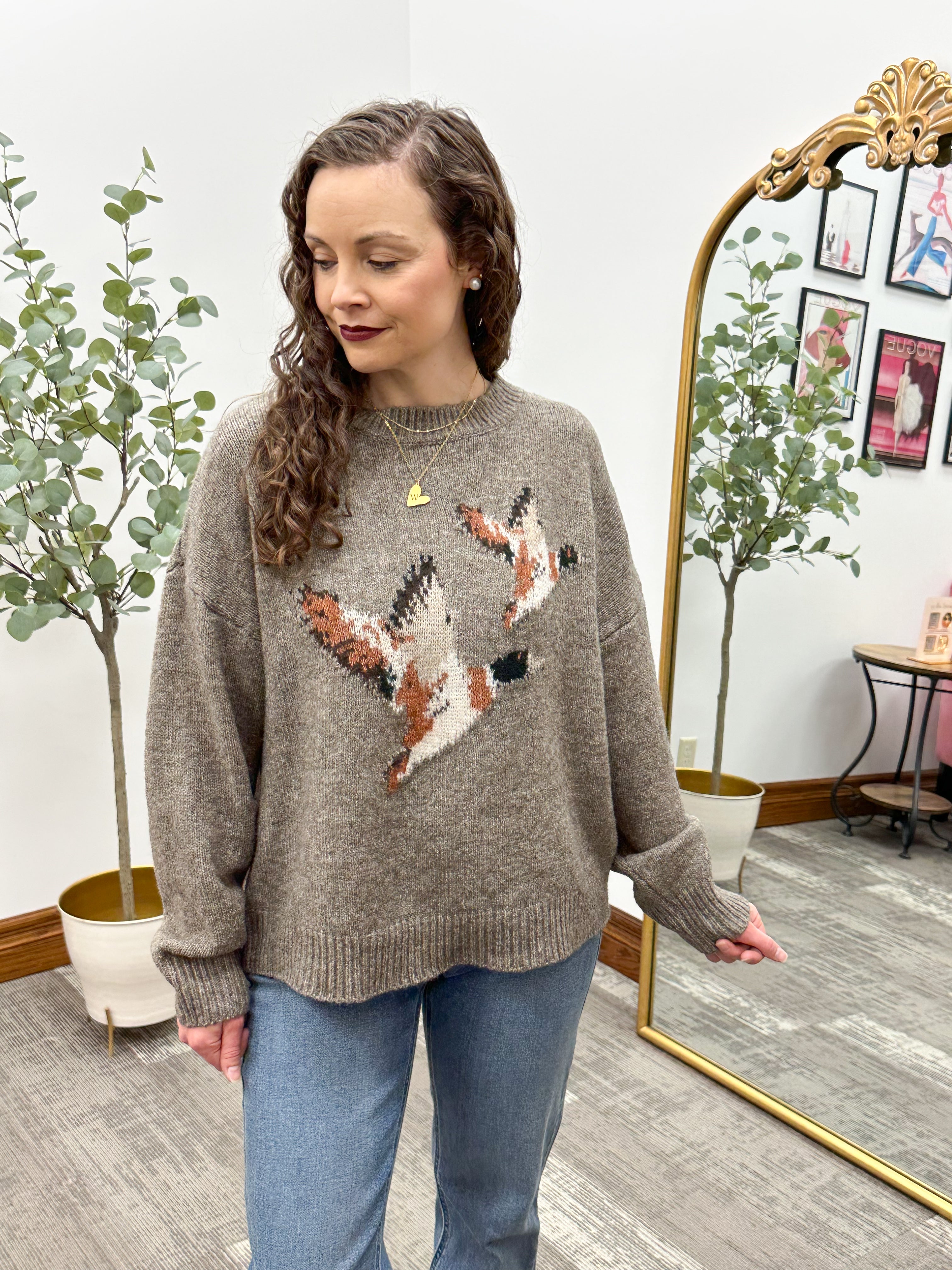 Mocha Flying Ducks Sweater