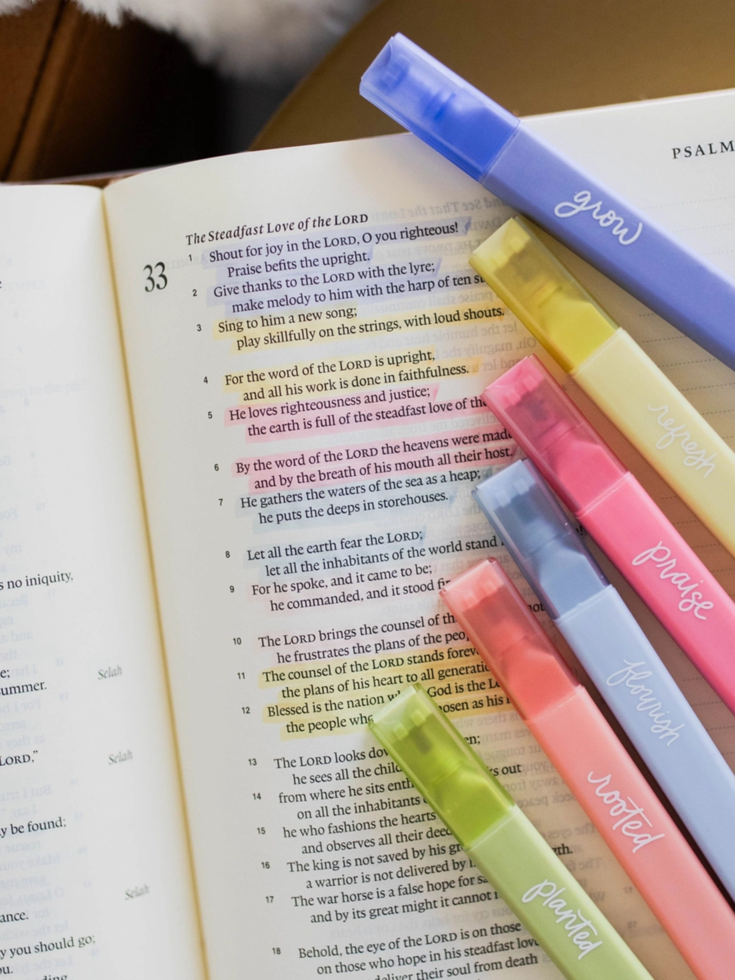 Bible Highlighters