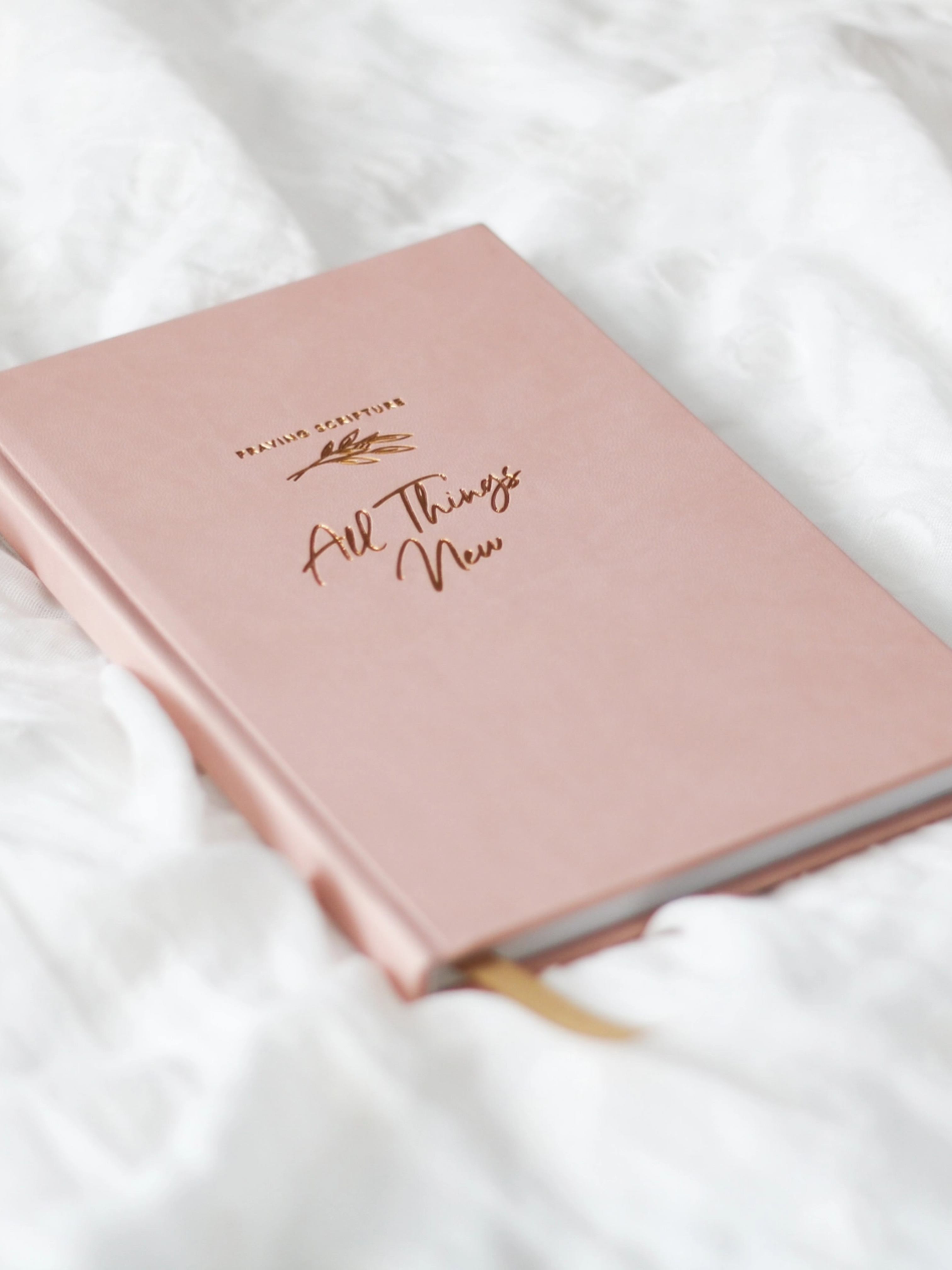 All Things New, Praying Scripture Journal