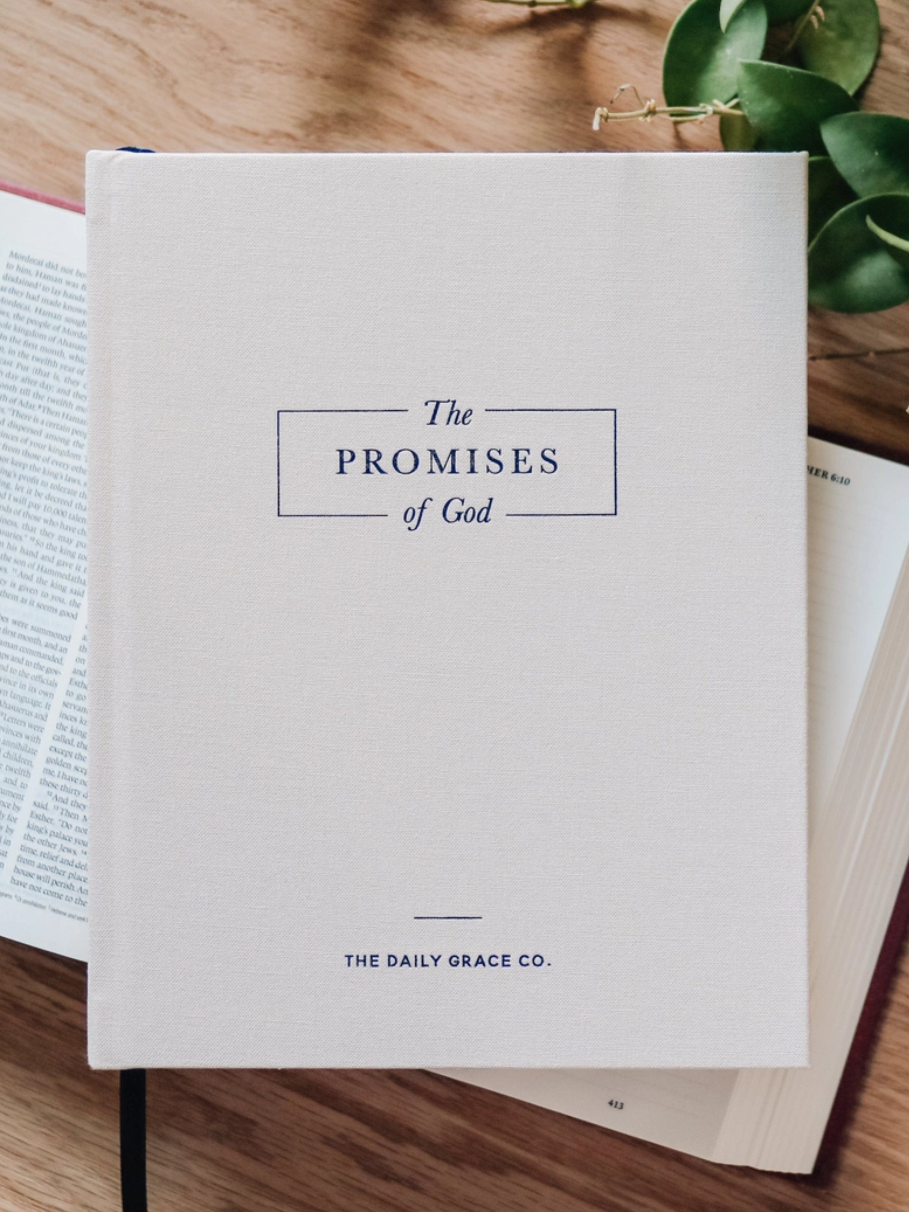 The Promises of God, Coffee Table Book
