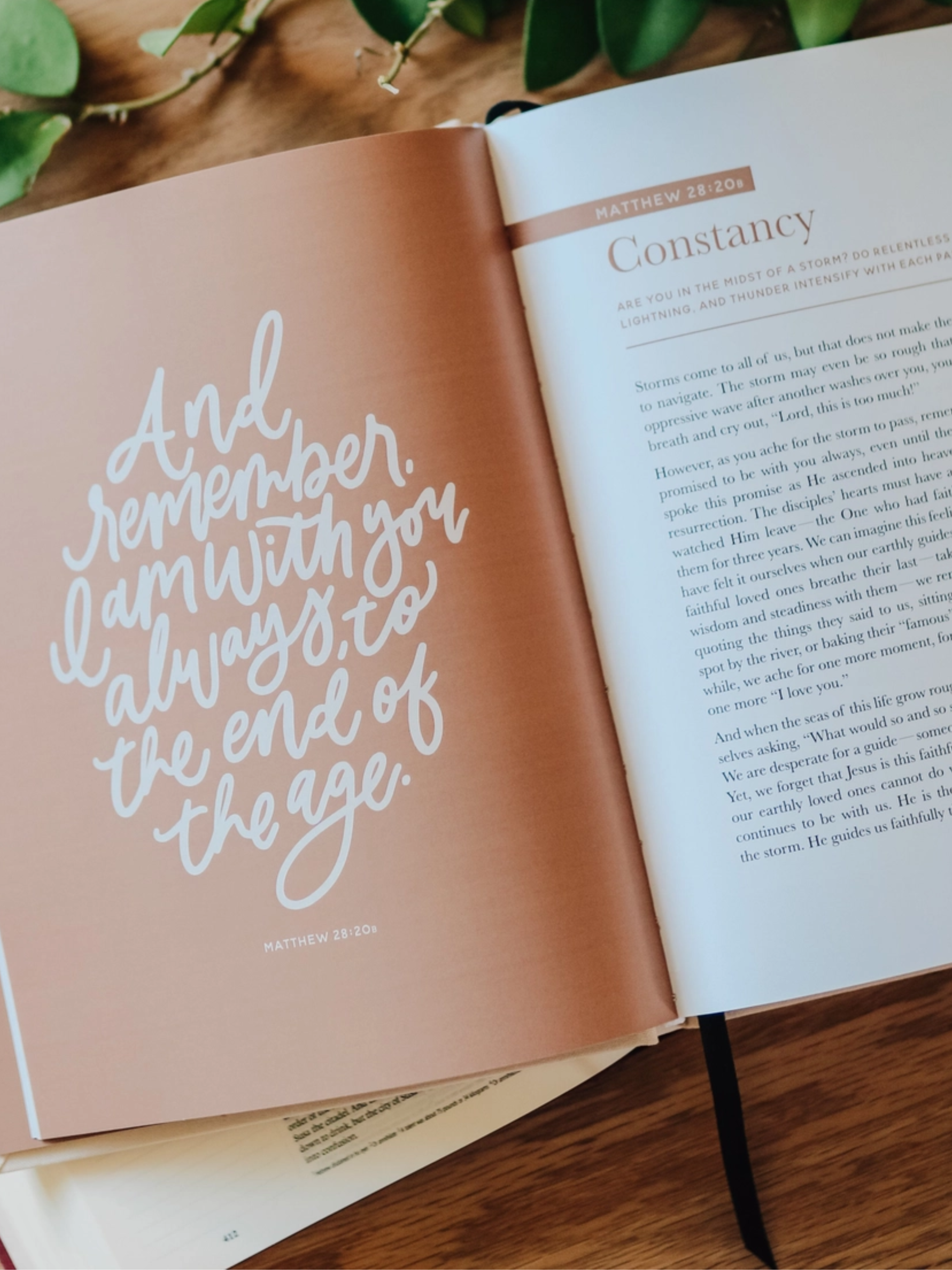 The Promises of God, Coffee Table Book