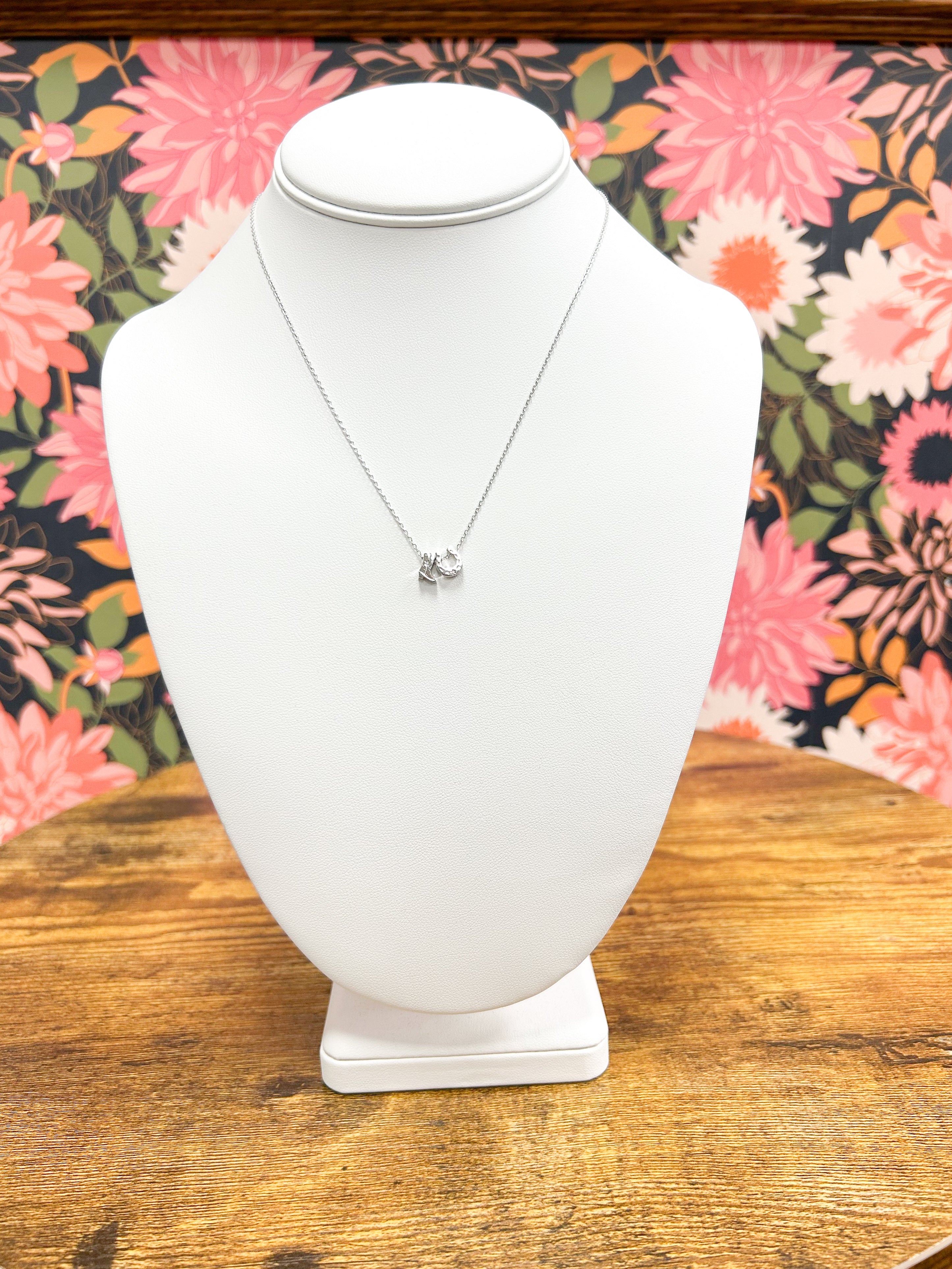 Silver Western Style Charm Necklace